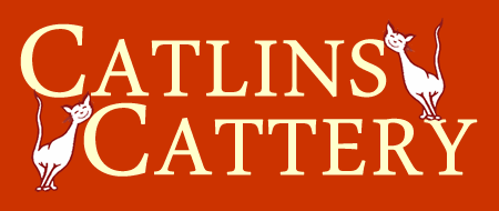 Catlins Cattery - Luxury Boarding in Essex